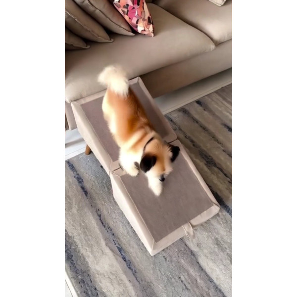 Tabouret  en  beige avec rampe pour animaux (rampe de canapé)